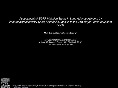 Assessment Of Egfr Mutation Status In Lung Adenocarcinoma By