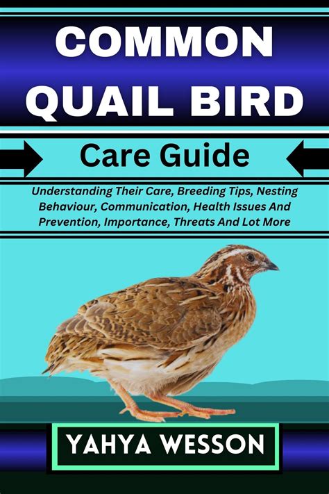 COMMON QUAIL BIRD Care Guide Understanding Their Care Breeding Tips