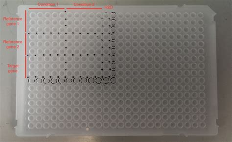 96 Well Pcr Plate Template Tutoreorg Master Of Documents