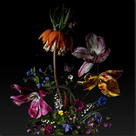 Bas Meeuws Contemporary Dutch Flower Still Life Photography Bloem Fotografie Bloemen Foto S