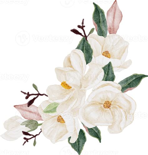 Watercolor White Magnolia Flower And Leaf Branch Bouquet 9390944 Png