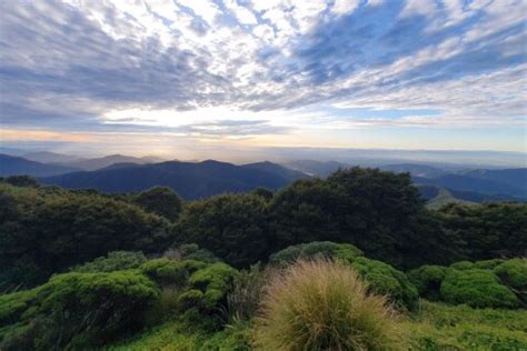 Mountain Safety Council New Zealand Read