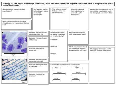 Gcse Biology Prescribed Practical Microscopes Revision Mat Teaching