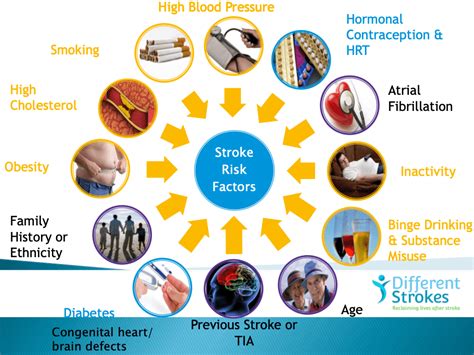 Stroke Risk Factors