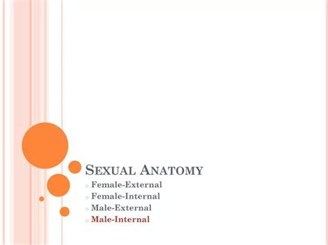 Ppt Sexual Anatomy Powerpoint Presentation Free Download Id 2251712