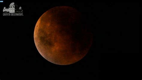 Video Supermoon Lunar Eclipse Puts on a Show - ABC News