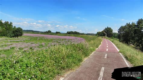 Pedalando Lungo Gli Argini Del Tevere La Pista Ciclabile Pi Lunga Di