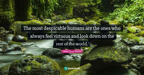 The Most Despicable Humans Are The Ones Who Always Feel Virtuous And L