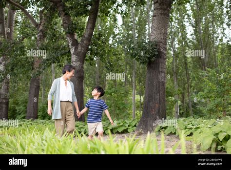 Chinese Grandmother Hi Res Stock Photography And Images Alamy