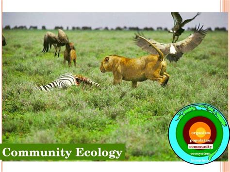 Community Ecology