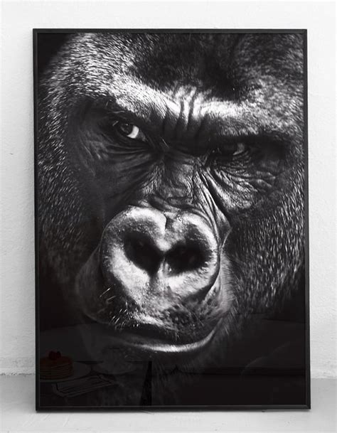 Poster Gorilla Aap Zwart Wit Bol