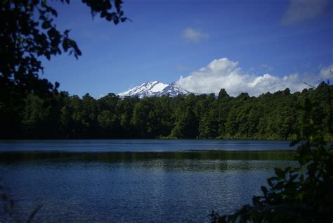 elevation  waiouru military camp  zealand maplogs