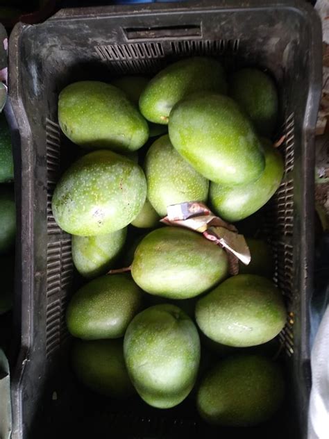 Green Natural Himayat Mango Crate Packaging Size 20 Kg At Rs 115 Kg