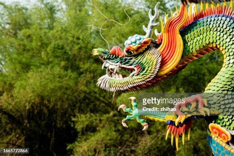 1092 Chinese Dragon Head Stock Photos High Res Pictures And Images