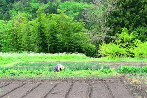 人手不足が危惧される、農業と物流の関係について 農業メディア│think And Grow Ricci