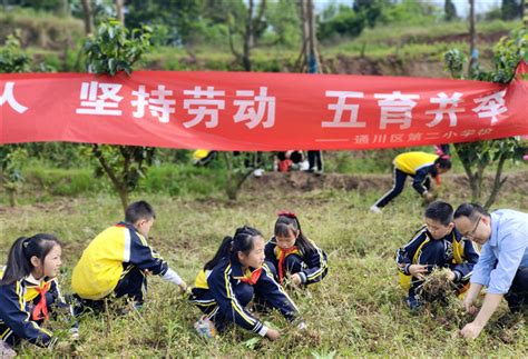 达州市通川二小：以德育人 坚持劳动 五育并举 【精神文明网】