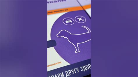 Холликалм - противорвотное средство для животных. Купить в Калуге в ...