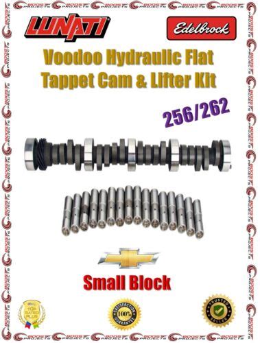 Lunati Hydraulic Flat Tappet 256 262 Camshaft Lifter Kit For Chevy