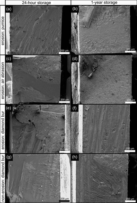 Sem Photomicrographs Of Tbs Fractured Surfaces Of Clearfil Se Bond