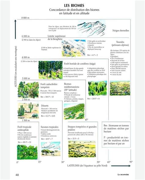 Livre Le Guide Illustr De L Cologie De Bernard Fischesser