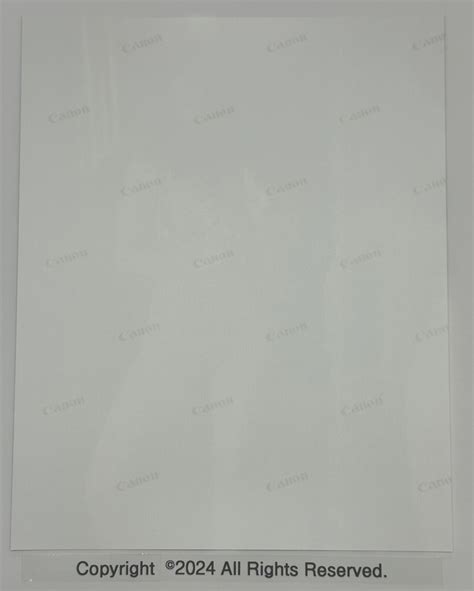 Fine Art Nude Photo X B W Naked Female Model Art Photograph Blk White EBay