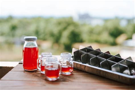 Einfaches Rezept Johannisbeer Likör selber machen mit Ingwer