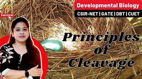 Principle Of Cleavage Cleavage Patterns And Types Developmental