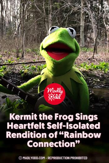 PIN-Kermit the Frog Sings Heartfelt Self-Isolated Rendition of “Rainbow ...