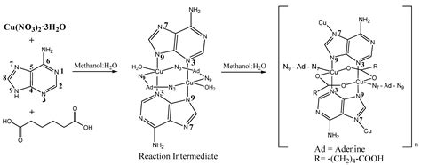 Polymers Free Full Text Direct Formation Of Sub Micron And