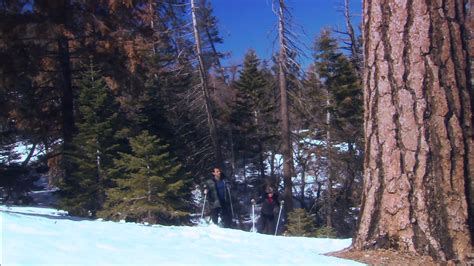 Daily Dose Of Hardcore Porn Video Please Like And Follo