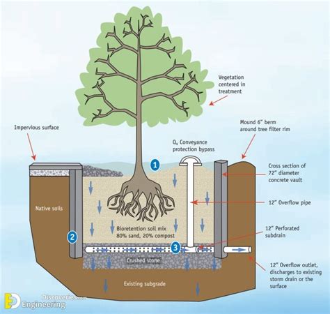 Discover The Hottest Modern Tree Grate Design Ideas Engineering