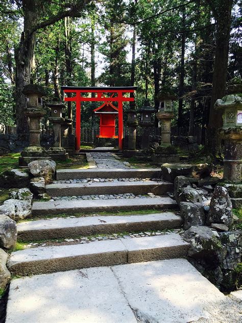 Free photo: shrine, torii, road | Hippopx