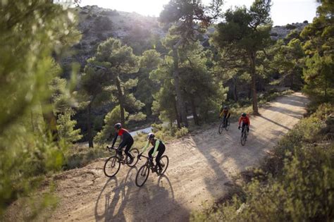 Les Meilleurs V Los Gravel Notre Comparatif Labicycle