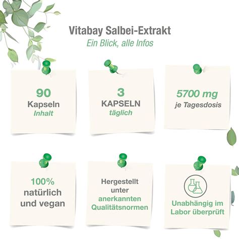 Vitabay Salbei Extrakt Mg St Shop Apotheke