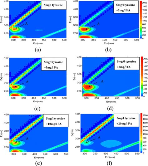 Fluorescence Excitationemission Matrix Spectra Of Tyrosine 5 Mgl In Download Scientific