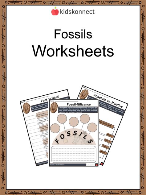 Fossils Worksheets