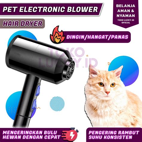 Jual Pet Blower Hair Dryer Kucing Grooming Alat Pengering Bulu Hewan