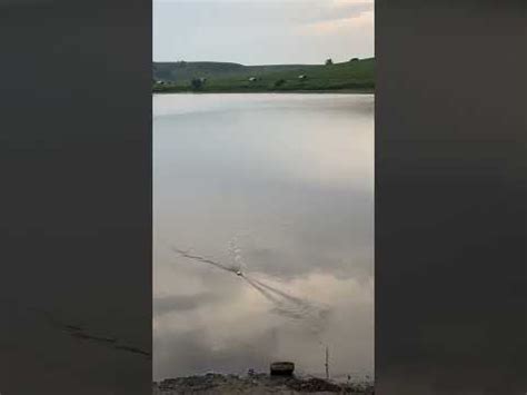 Рыбак поймал большую рыбу 🐠🐟🐬 - YouTube