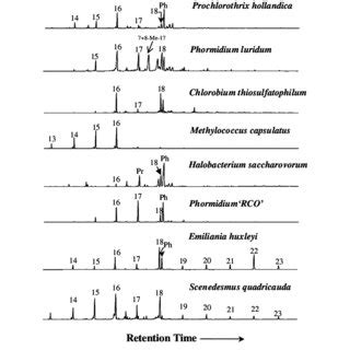 Partial M Z 85 Ion Chromatogram Showing The Distribution Of N Alkanes