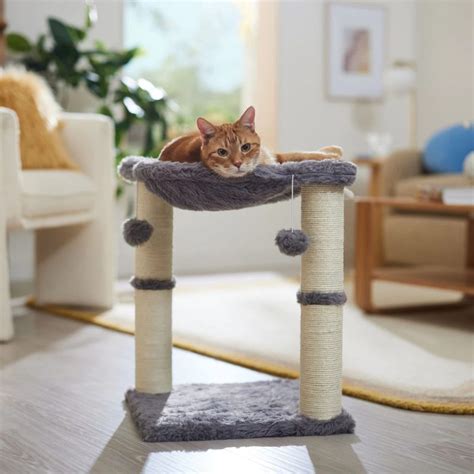 8 Best Cat Hammocks in 2025 - Reviews & Top Picks - Catster