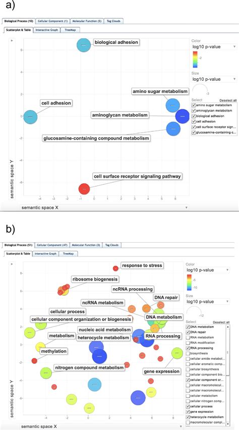 Scatterplot Of Enriched Biological Process Gene Ontology Terms Go