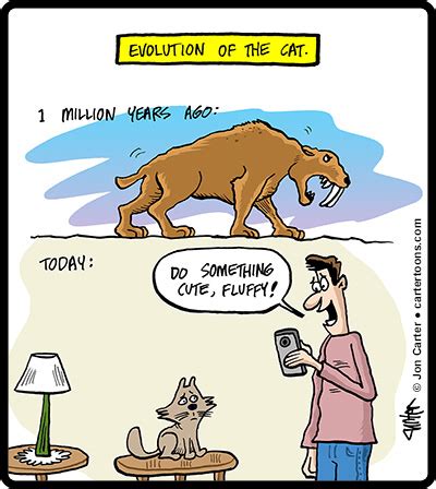 Cat Evolution