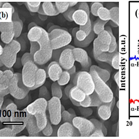 Typical top view SEM images of a α Fe2O3 30 s photoanode b