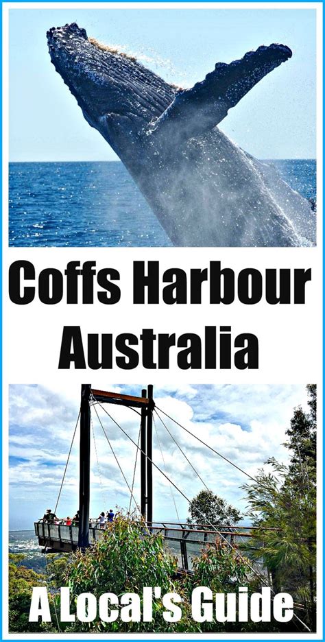 A Locals Guide to Coffs Harbour Attractions | Budget Travel Talk