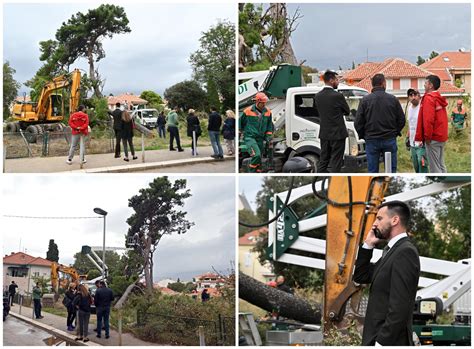 Slobodna Dalmacija Drama Na Gripama Navodno Su Prije Svitanja