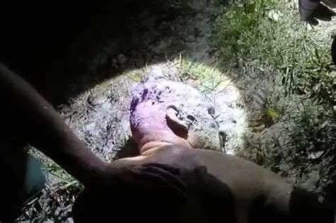 Naked Burglar Covered In Blood And Smelling Of Toothpaste Caught In Stranger S Pool Daily Star