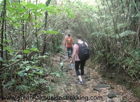 Picture Gallery Sri Lanka Knuckles Trekking Kandy Adventure Hiking