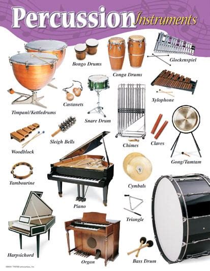 Percussion Family Instruments List