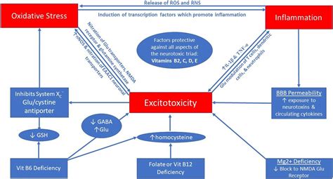 Frontiers Micronutrients May Be A Unique Weapon Against The