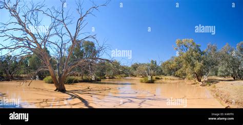 The Paroo River at Eulo Stock Photo - Alamy